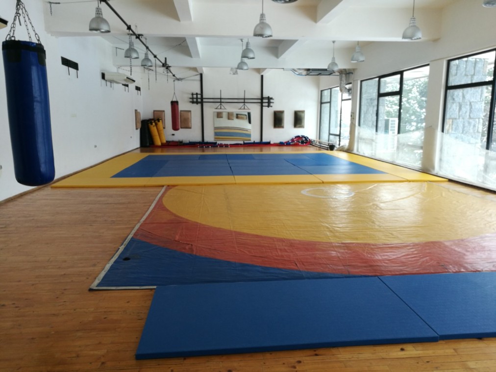 Combat sports hall with mats