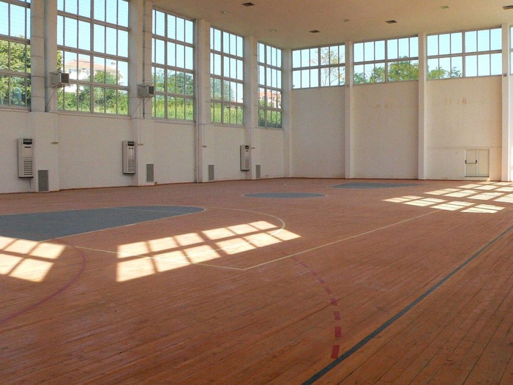 Multi-purpose indoor court