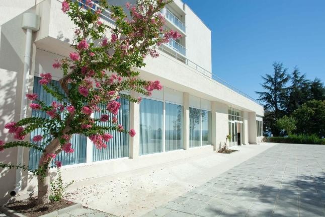 Hotel building exterior with flowering tree