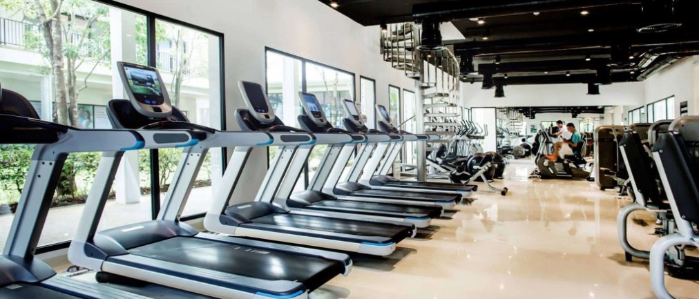 Fitness hall with treadmills and cardio equipment