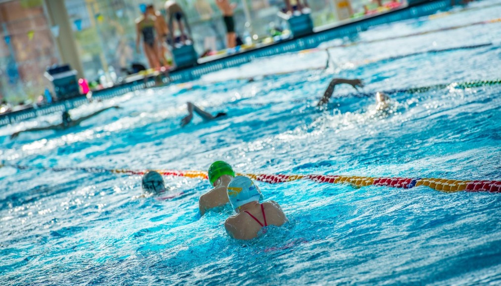 Swimmers training in marked lanes