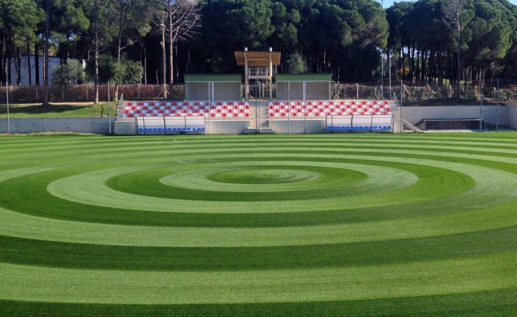 Football pitch with spectator stand