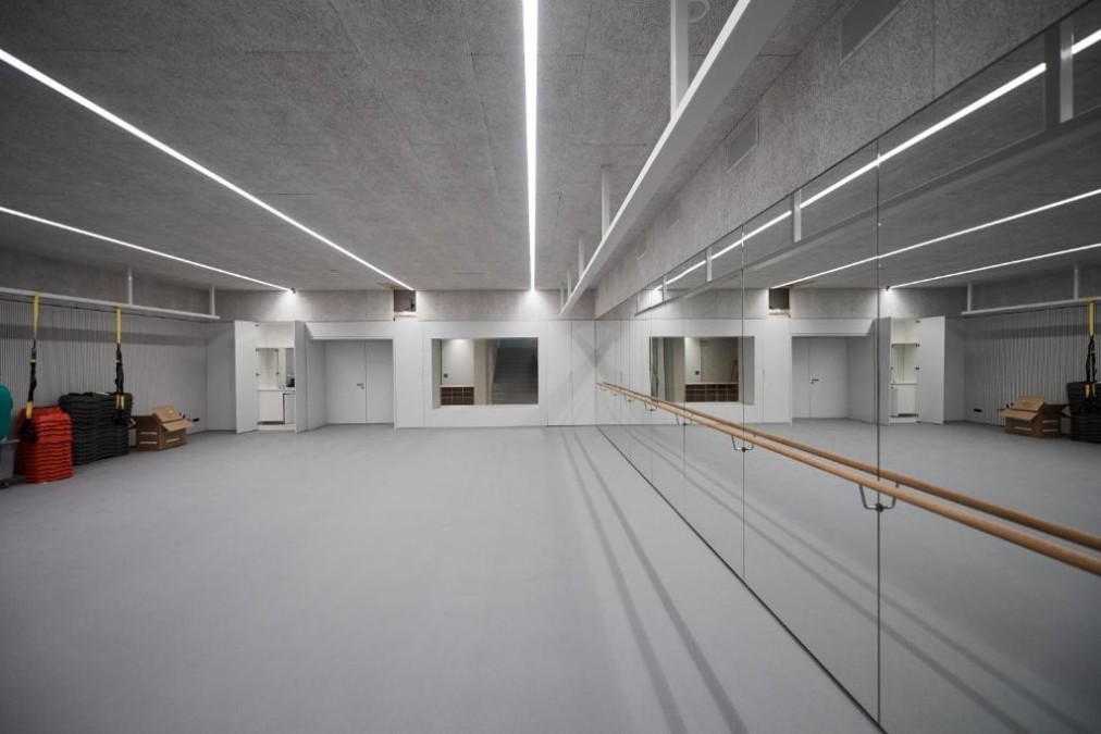 Mirrored movement studio with training barre
