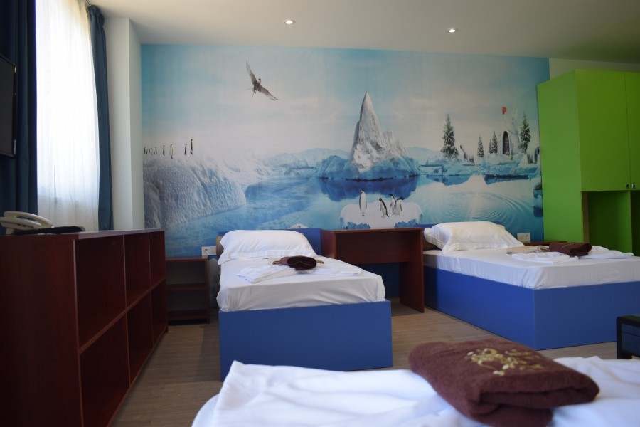 Themed twin room with Arctic mural