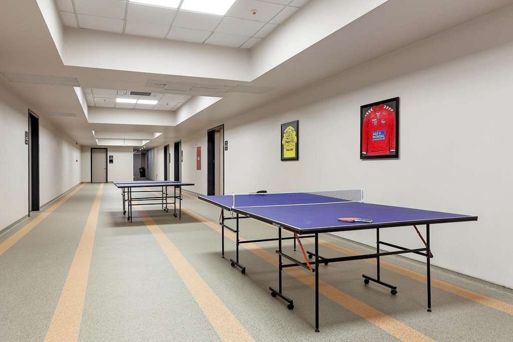 Table tennis tables