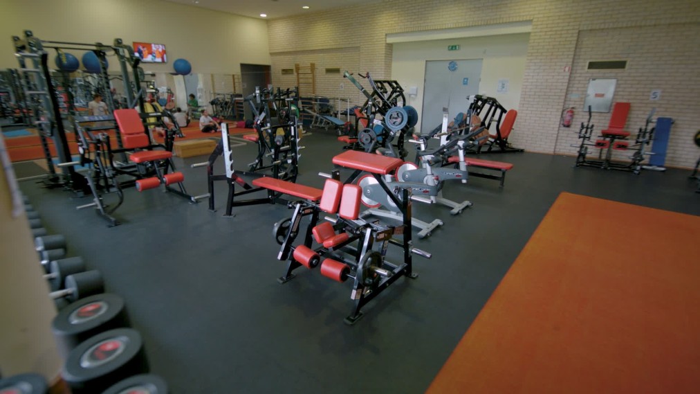 Gym hall with weight machines and free weights