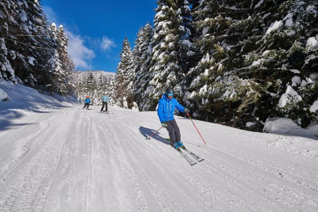 Skiers on a groomed piste running through snow-covered forest.