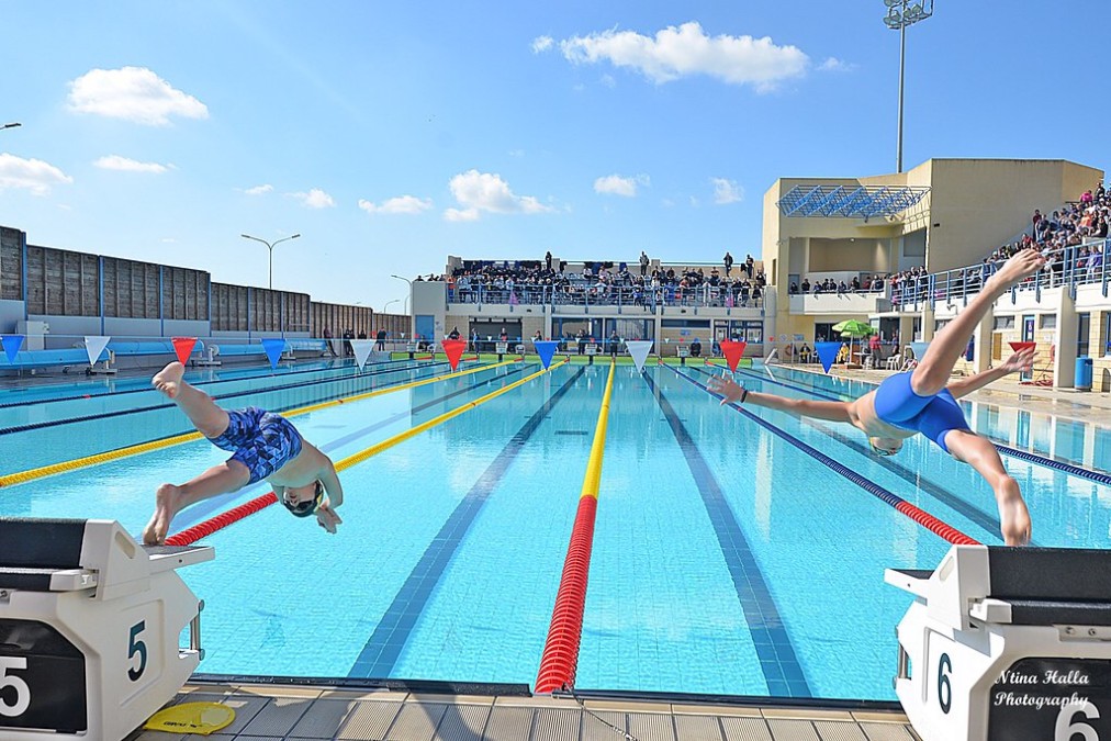 Swimmers diving from starting blocks into an outdoor competition pool.
