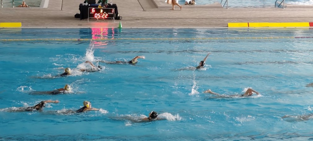 Water polo players swimming during match action in the pool.