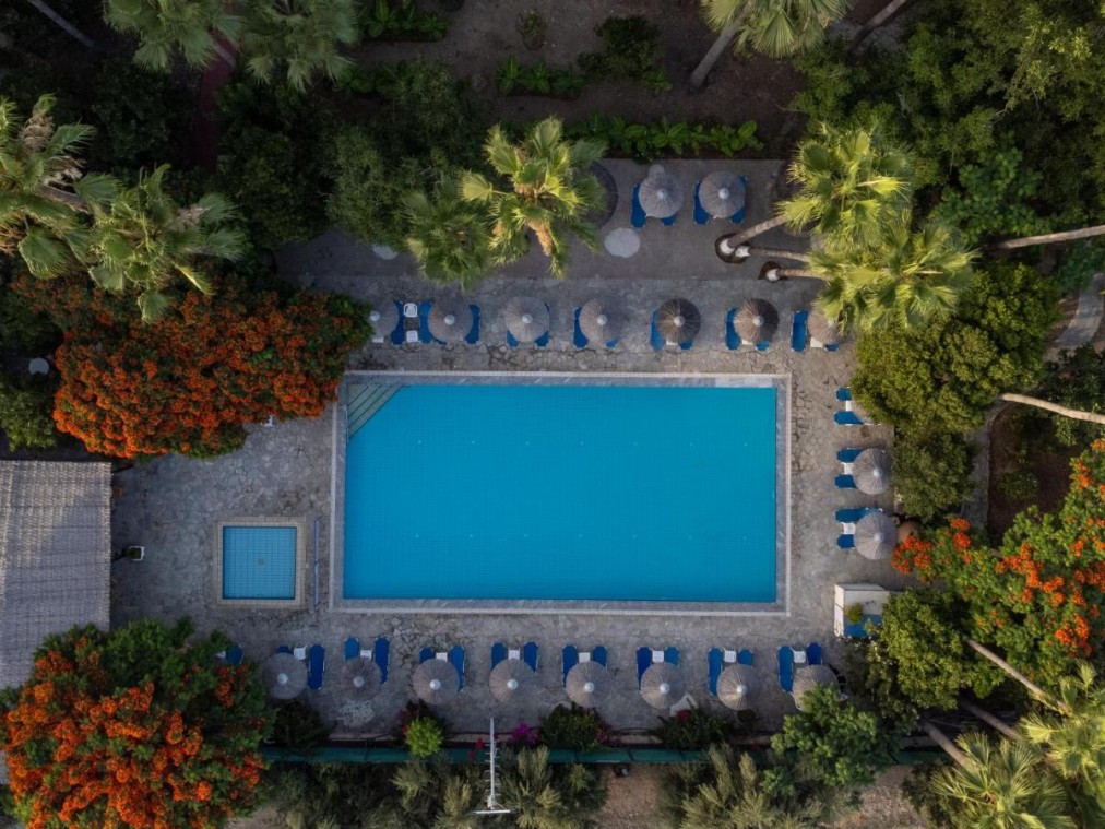 Aerial view of the outdoor pool with sun loungers, umbrellas and surrounding palm trees.