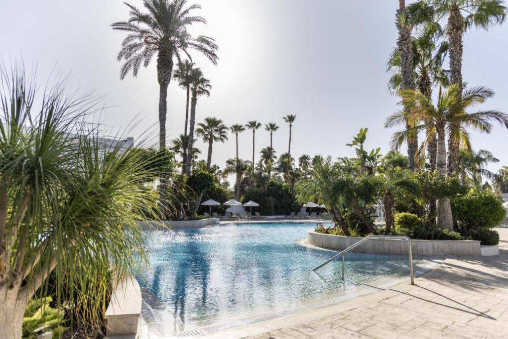 Outdoor pool surrounded by palm trees and landscaped sun deck.