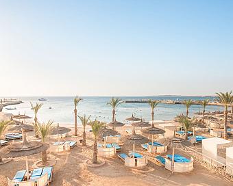 Beach with sun loungers, umbrellas, and palm trees overlooking calm sea