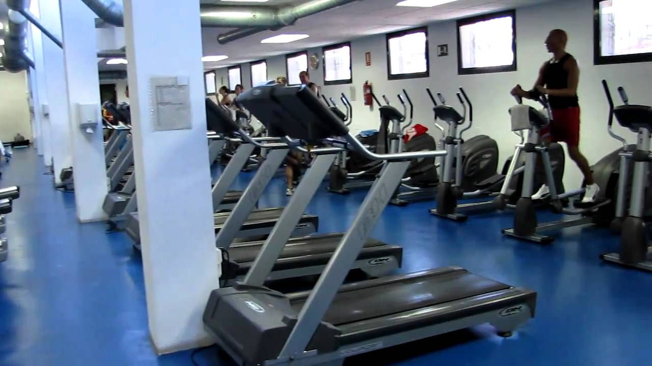 Cardio-Bereich im Fitnessraum mit Laufbändern und Crosstrainern.