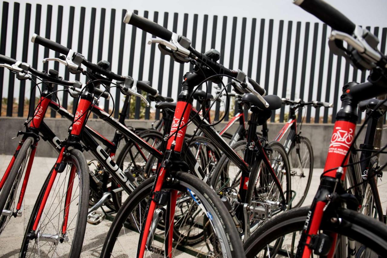 Vélos de route alignés dans un espace de rangement.