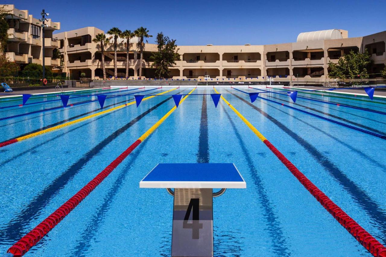 Piscine olympique extérieure avec plot de départ et couloirs de compétition marqués.