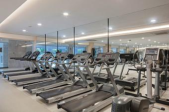 Fitness room cardio zone with treadmills and ellipticals in front of mirrors.