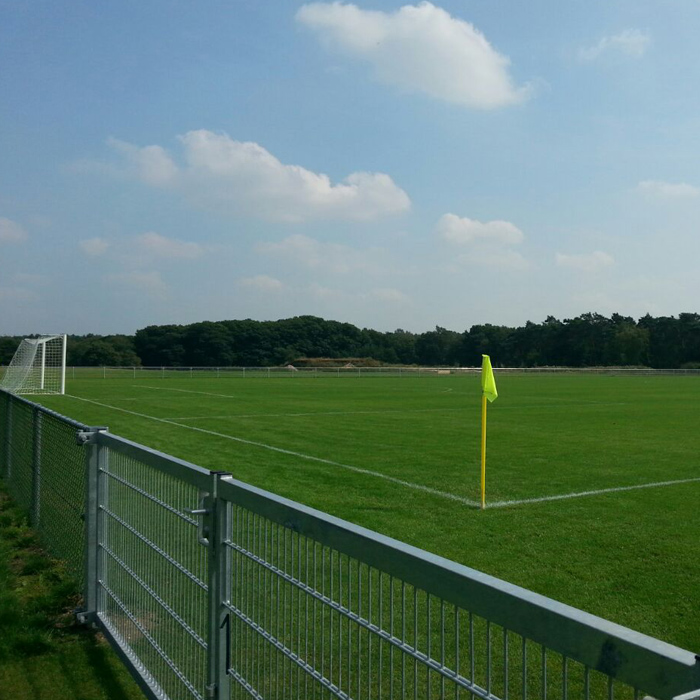Natural grass pitch, corner flag