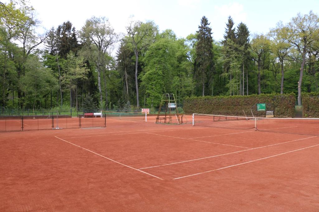 Clay tennis court