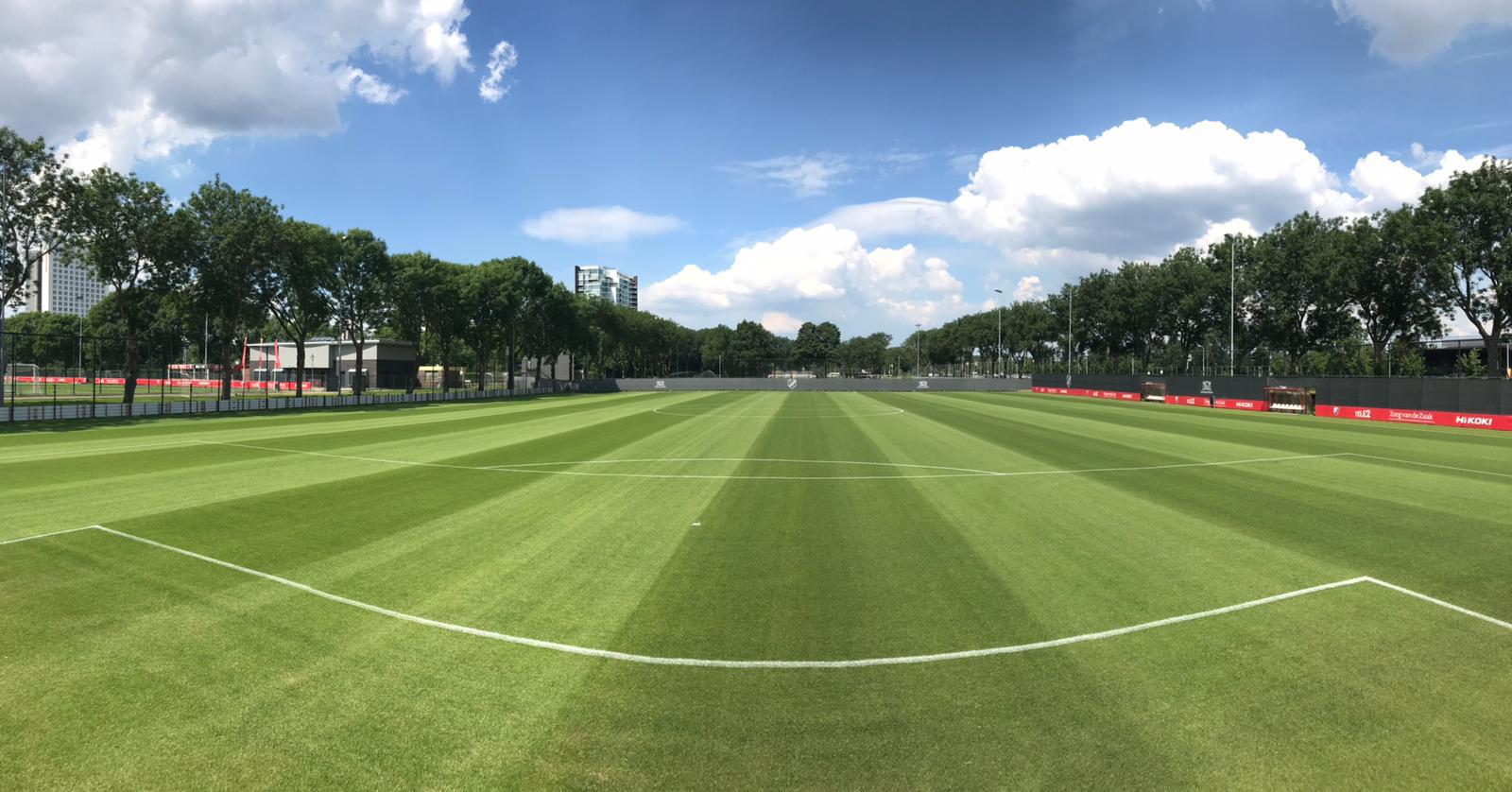 Natural grass football pitch