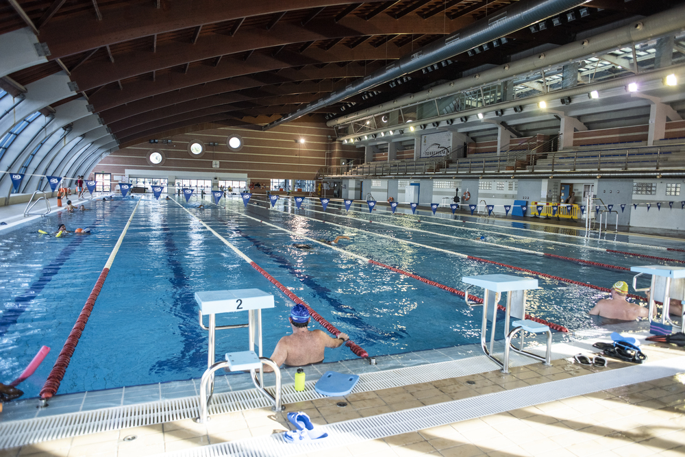 Hallenbad mit Schwimmern, Startblöcken und Zuschauertribüne.