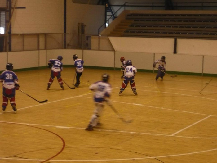 Indoor-Spielfeld mit Athleten beim Hockey; Bande und Sitzreihen im Hintergrund.