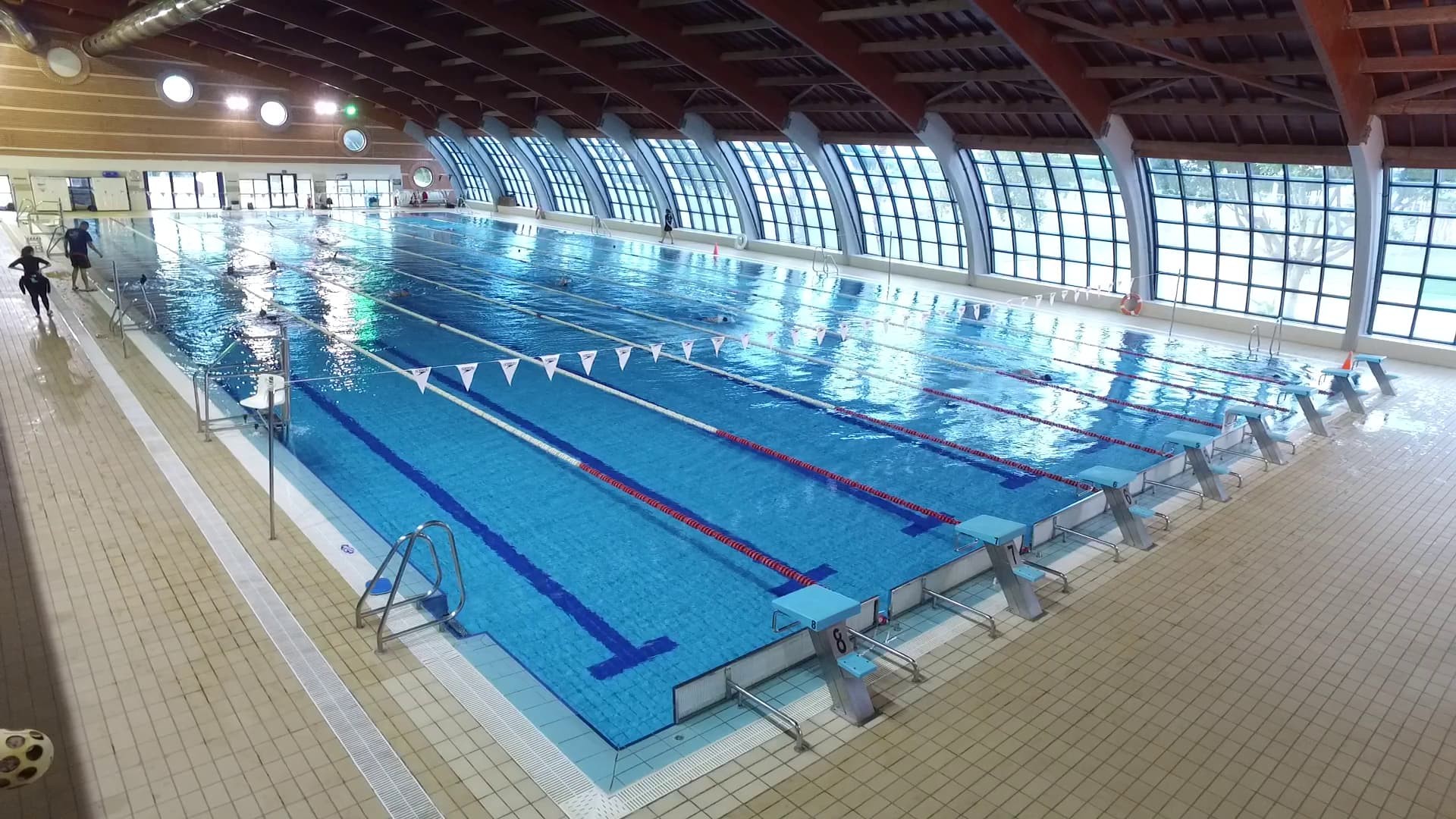 Indoor-Sportbecken mit mehreren Bahnen, Startblöcken und großen Rundfenstern.