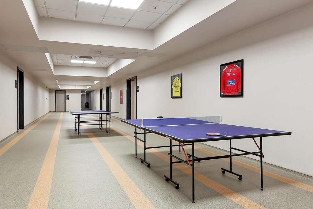 Table tennis tables