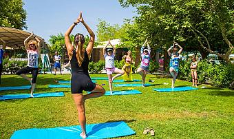 Outdoor yoga class on mats on grass, suitable for team stretching in training camp.