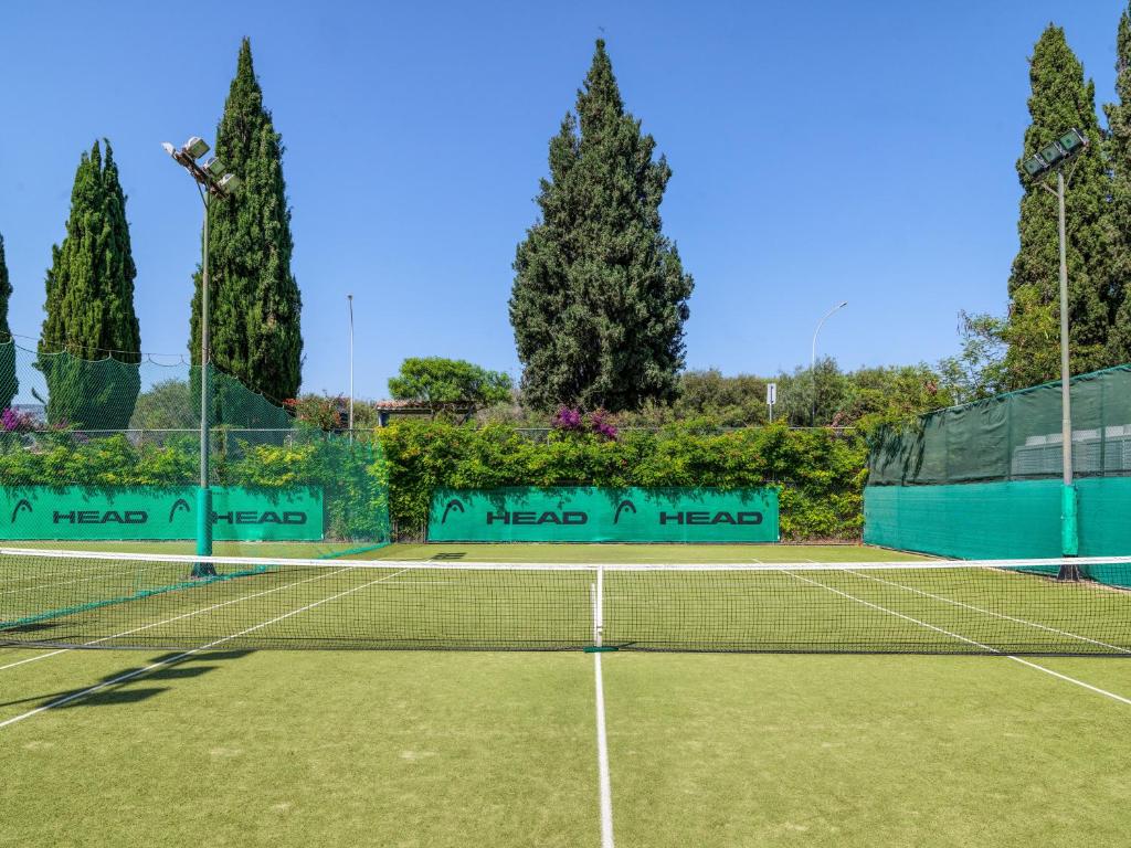 Außenliegender Tennisplatz mit grüner Oberfläche, umgeben von hohen Bäumen und grünen HEAD-Netzen für Trainingseinheiten