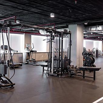 Modern gym with weight machines, cardio equipment, and open workout space