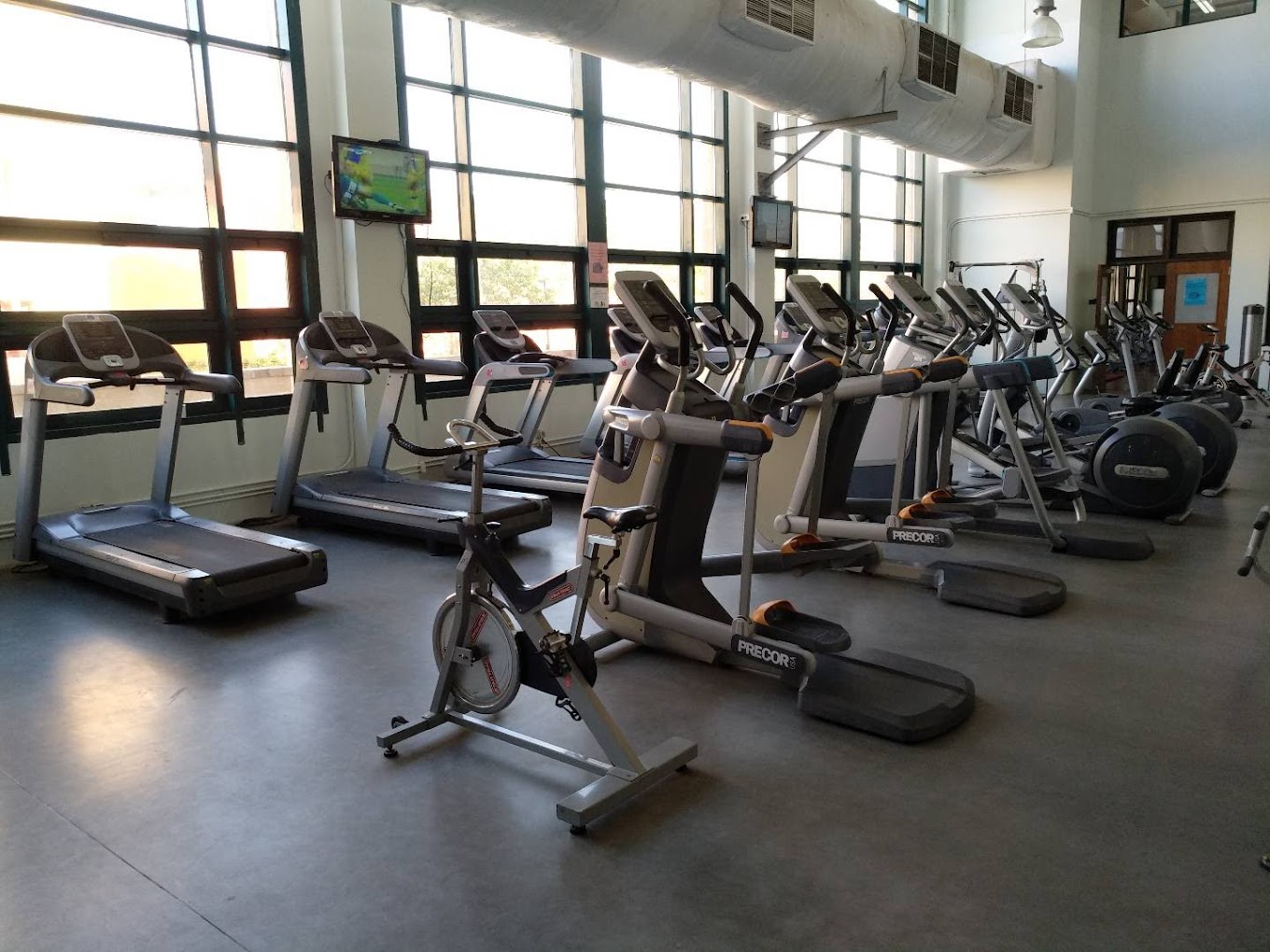 Cardio gym with treadmills, ellipticals and stationary bikes lined up along large windows.