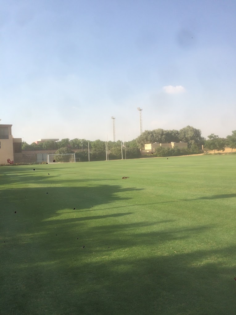 Football pitch with a goal and light poles, bordered by trees and campus walls.