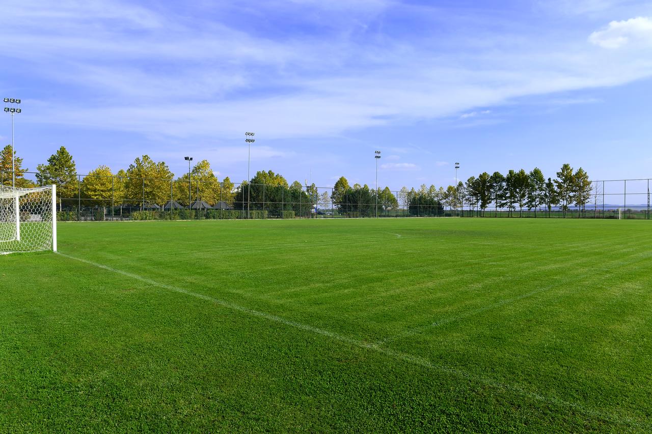 Outdoor-Fußballplatz mit gepflegtem Rasen, Tor und Umzäunung sowie Flutlichtmasten.