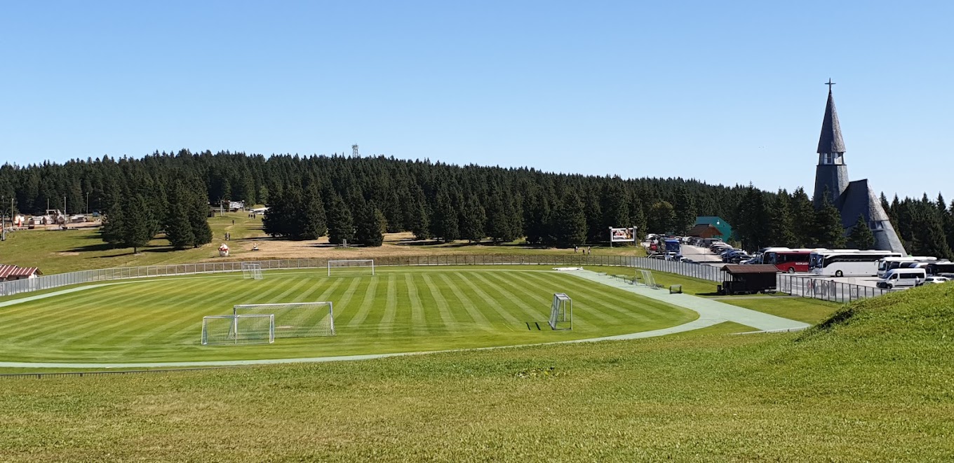 Outdoor football field with training goals and track beside parking and forest.