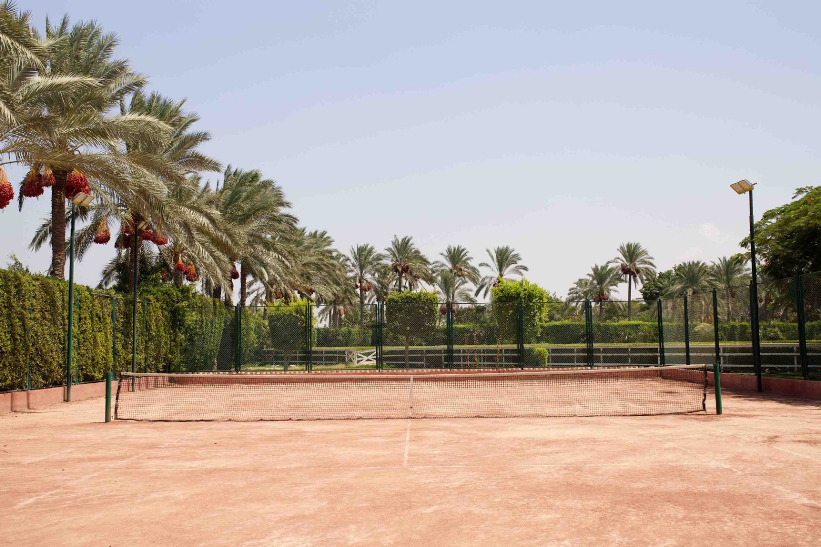 Outdoor clay tennis court with net and floodlights, bordered by palm trees.