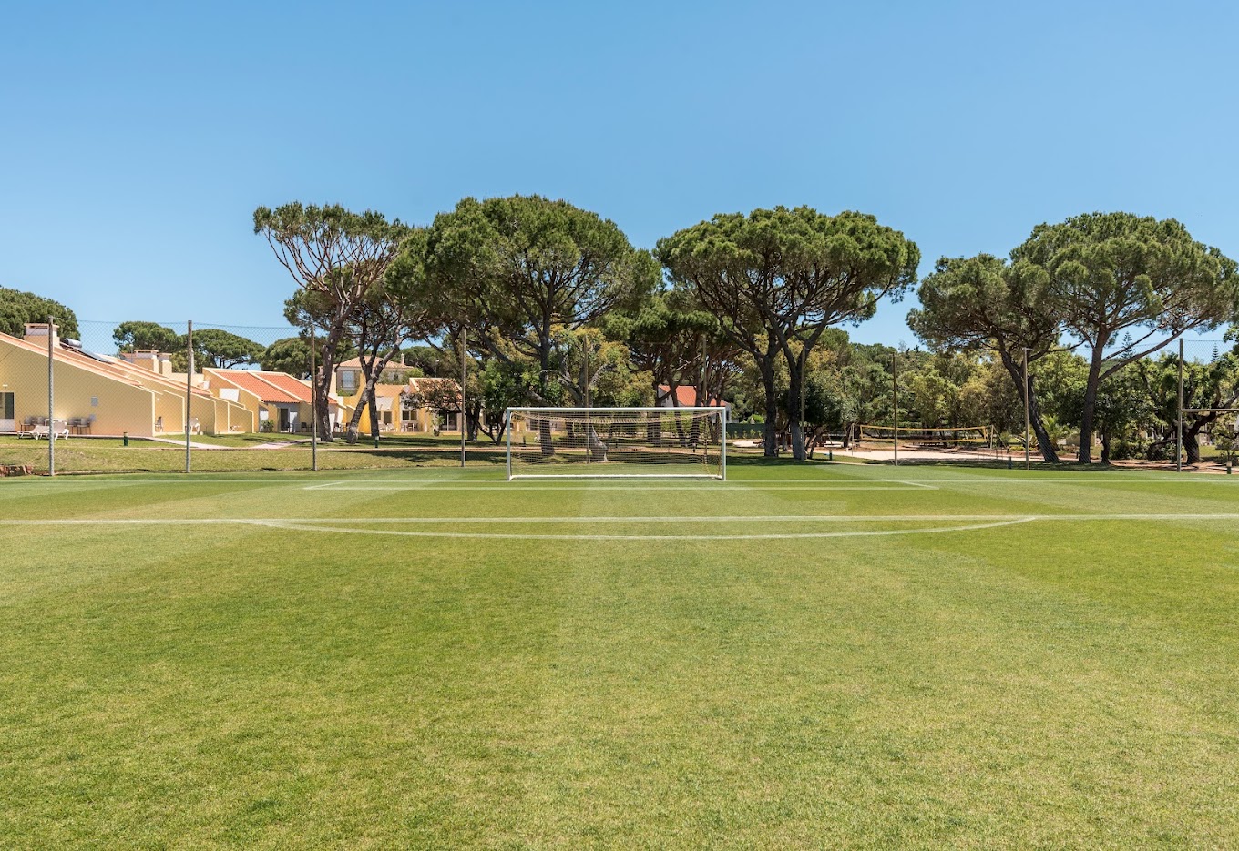Terrain de football en gazon naturel avec buts et arbres en arrière-plan.