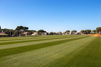 Weites Rasen-Trainingsfeld mit Streifenmuster und Sportpfosten.