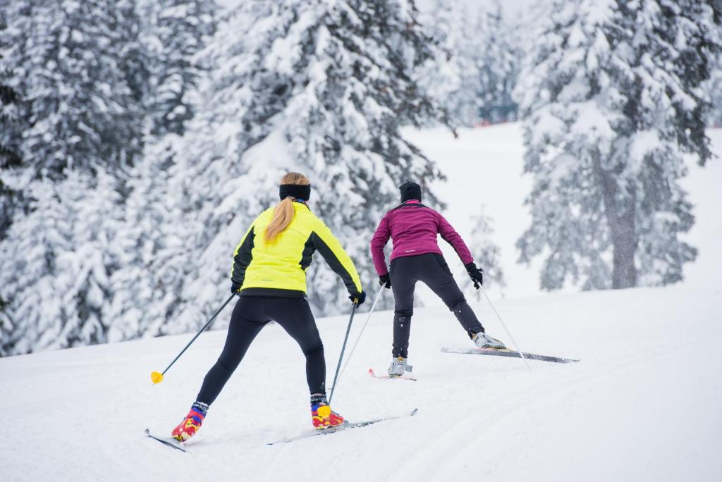 Two people cross-country skiing on a snowy trail through dense forest.