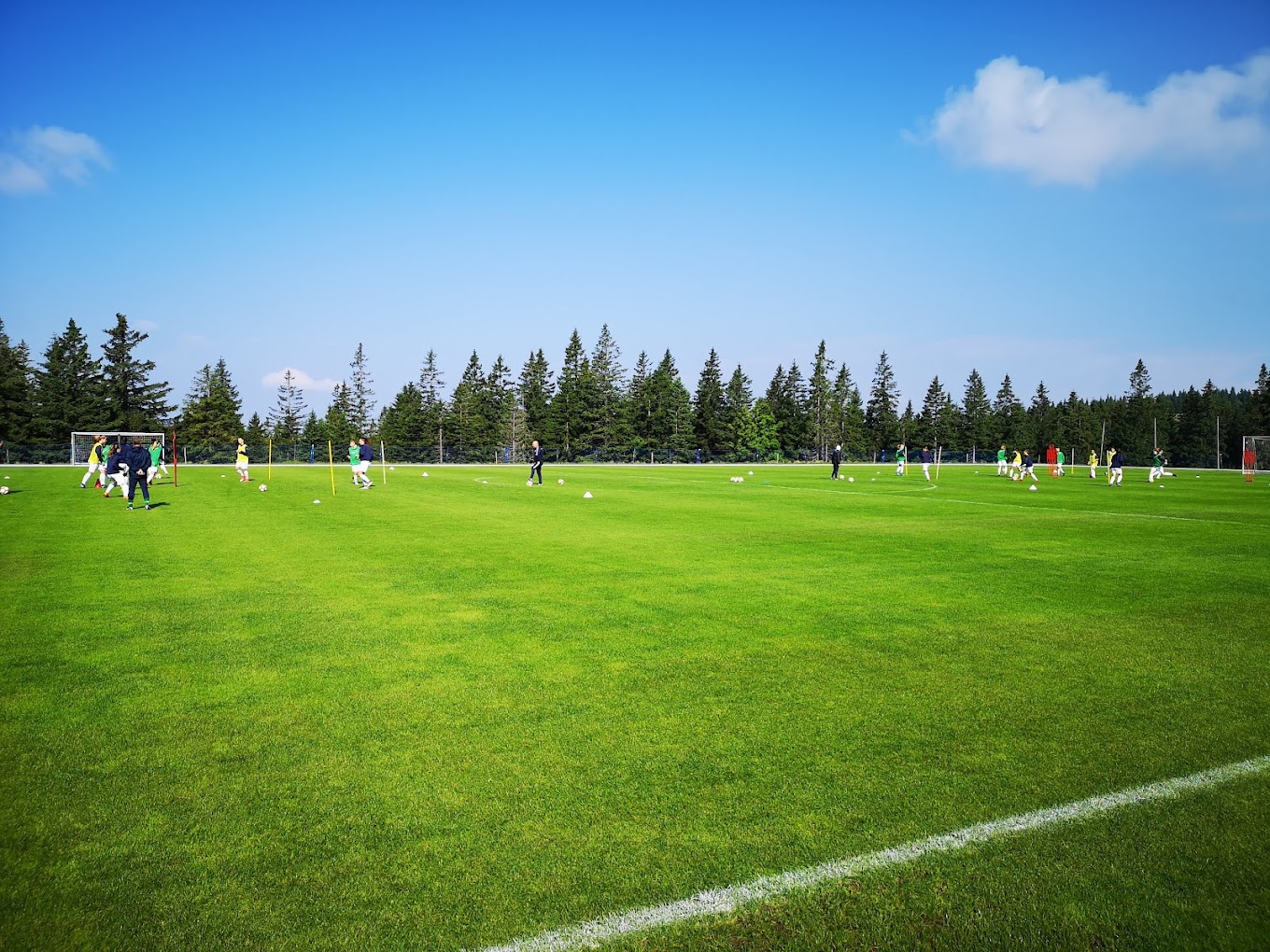 Football training drills on a full-size grass pitch bordered by forest.