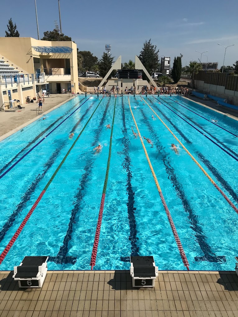Outdoor-Wettkampfbecken mit Schwimmern beim Training auf markierten Bahnen im Tageslicht.