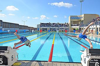 Swimmers diving from starting blocks into an outdoor competition pool.