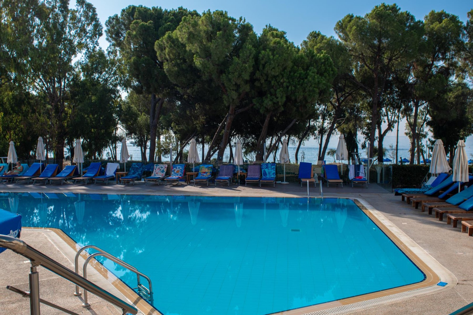 Outdoor pool with sun loungers, umbrellas, and pine trees