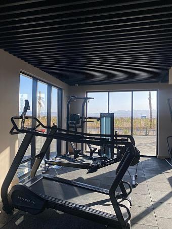 Small gym with cardio machines and large windows overlooking outdoor view