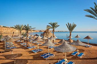 Sandy beach lined with blue sun loungers and straw parasols facing the calm Red Sea