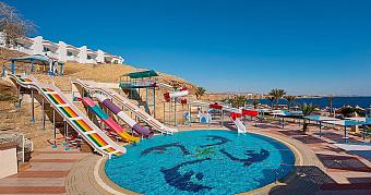 Outdoor water park area with colorful slides leading into a round pool featuring dolphin mosaic