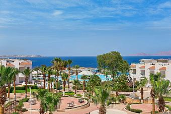 Scenic view of hotel gardens with palm trees and sea in the background under clear blue sky