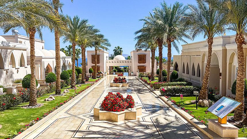 Elegant resort walkway lined with palm trees, manicured gardens, and white buildings leading toward the sea