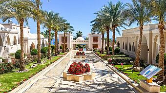 Elegant resort walkway lined with palm trees, manicured gardens, and white buildings leading toward the sea