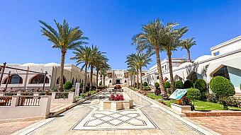 Palm-lined walkway with manicured gardens leading to a white resort building under a clear blue sky