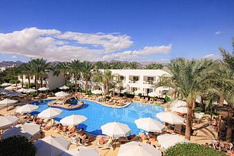 Outdoor pool surrounded by palm trees, white buildings, and sun loungers under umbrellas
